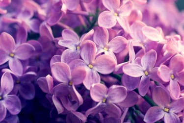 长沙芙蓉区3赎楼担保服务提升房产交易效率